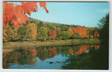 Postcard Clarion River with Reflection of Trees Cook Forest State Park, PA picture