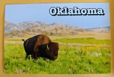 Postcard OK: Oklahoma Bison  picture