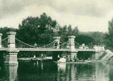 Vintage Postcard Public Gardens Boston Mass. Massachusetts Lake Bridge Boats  picture