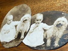 Two Oval shaped Antique Photograph Baby & a Puppy Circa 1910s C1 picture