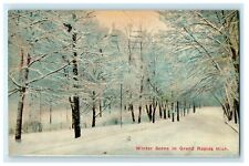 1919 Winter Scene in Grand Rapids, Michigan MI Antique Postcard picture