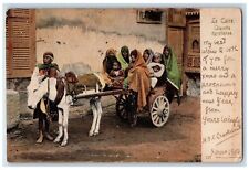 1904 Le Caire Charette Egpytienne Donkey Carriage Egypt Vintage Antique Postcard picture