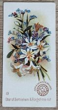 1895 AH801 Church & Co Arm & Hammer Beautiful Flowers Forget-me-not Card #19 picture