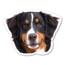 Bernese Mountain Dog Magnet picture