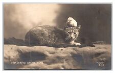 Kitten Cat RPPC w a Chic ~  Tabby ~ UNP 1905c picture