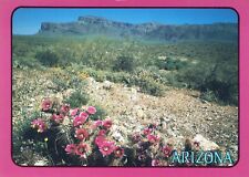 Superstition Mountain Arizona Desert Cacti 4x6 Postcard picture