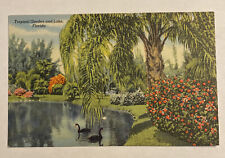 Vintage Unposted Linen Postcard, Tropical Gardens & Lake, FL picture