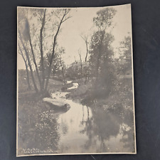 ANTIQUE 1908 CHRISTIE PHOTO NATURE PHOTOGRAPH 9.5 X 7.5 YORKVILLE, WI picture