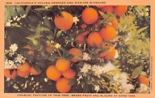 Los Angeles CA California Orange Tree Grove Citrus Valencia Cara Vtg Postcard W1 picture