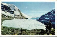 No 5 Athabasca Glacier Columbia Ice Fields Canada Mountains Chrome Postcard picture