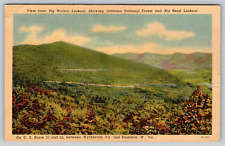 c1940s Big Walker Lookout Jefferson Big Bend Forest Virginia Vintage Postcard picture