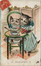 PC CPA CAT, CATS IN HUMAN DRESS EATING A SOUP, (b25049) picture