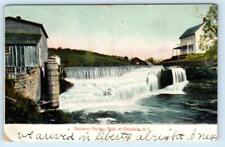 FERNDALE, New York NY ~ Sullivan County SOUVENIR FACTORY FALLS 1906 Postcard picture