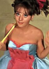 “Dawn Wells” STUNNING Actress/Gilligans Island 5X7 Color GLOSSY “Maryanne” NEW💋 picture