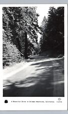 PALOMAR MOUNTAIN DRIVE ca real photo postcard rppc frashers ~LIGHT CREASE picture