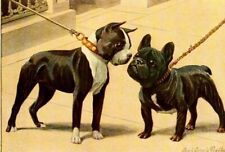 Dog Postcard: Old Print repro - Boston Terrier and French Bulldog - 2 cute dogs picture