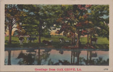 Oak Grove Louisiana Greetings Cows Field Lake Quality Colored Landscape Linen PC picture