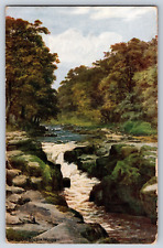 The Strid Bolton Woods Artist A. R. Quinton Yorkshire UK Postcard picture