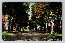 Constantine MI-Michigan, Residence Street, Scenic View, Vintage Postcard picture