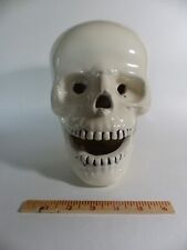 Skull, vintage, ceramic, from Dentist's office picture