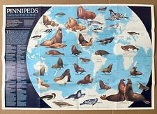 Map National Geographic Pinnipeds around the World /  Antarctica 1987 picture