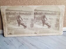 1893 DAREDEVIL CABLE WALK PERFORMANCE CALVERLEY at NIAGARA FALLS STEREOVIEW  picture