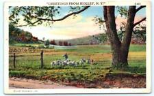 Greetings from HOLLEY, New York NY ~ Herd of Sheep 1940s Orleans County Postcard picture