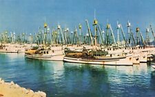 Fishing Fleet - San Pedro Harbor - Los Angeles California CA Postcard picture