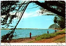 Postcard - Summer Fun - Morro Bay, California picture