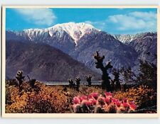 Postcard Rugged Snow-Capped San Jacinto Mountain USA picture