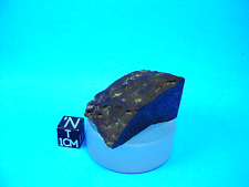 1992, Vyatka H4/5 Meteorite, Kirov, Russia, 40.5 grams, nice  fusion crust picture