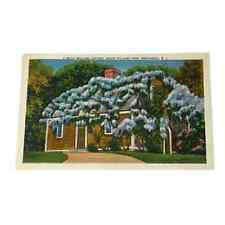 Postcard Betsy Williams Cottage Roger Williams Park Providence Rhode Island B297 picture