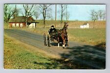 Eastern Pennsylvania PA-Pennsylvania, Amish Courting Buggy, Vintage Postcard picture