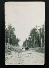 RPPC Black Duck Minnesota MN Beltrami Co Horse and Buggy Drive to Lake Postcard picture