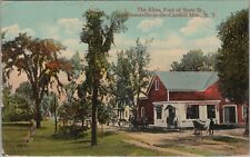 Hensonville NY Postcard Catskill Mts. The Elms Foot of State St. D.T. Slater picture