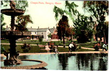 Postcard Vintage Chapin Park Bangor, ME picture
