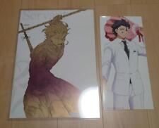Fate Zero Diarmuid Poster Set Of 2 picture