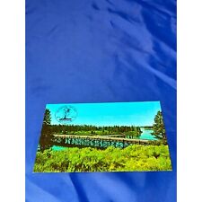 Fishing bridge Yellowstone national Park Postcard Stamped Centennial picture
