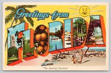 Large Letter Greetings From Florida The Land of Sunshine Vintage 1965 Postcard picture