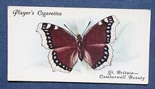 CAMBERWELL BEAUTY   Butterfly   Vintage 1930's  Card  PC09   picture