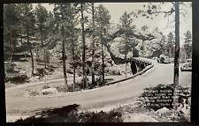 Vintage Postcard 1930-45 Pigtail Bridge, Iron Mountain Rd., Mt. Rushmore, SD picture