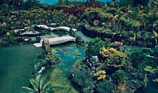 Hawaii Kong's Floraleigh Gardens Hilo HI Postcard K16 picture