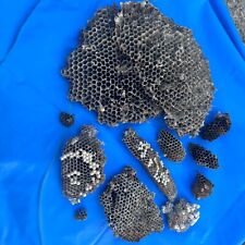 Lot 11 Taxidermy Paper Wasp Nest Hive Bald Faced Hornet PA Nonviable Craft Decor picture