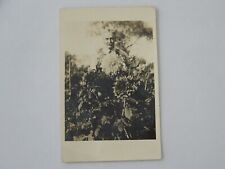 New York NY RPPC Real Photo Sunflower Wall Street to Mays Landing NJ 1936 picture