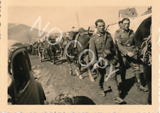 Photo WK2 -gebirgsjäger Marching Over Pass IN Bulgaria X85 picture