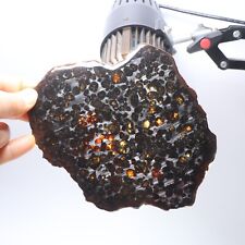 169g Natural meteorite,Slice olive meteorite-from Kenya SERICHO,collection N3750 picture