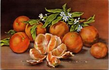Postcard Florida Sunshine State Oranges and Blossoms Linen c1930s FL G608 picture