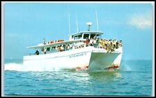 Postcard Deep Sea Fishing Miss Milwaukee Catamarans Tarpon Springs FL S42 picture
