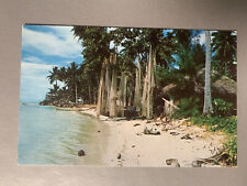 Vintage 50s 60s Bay Of Afareaitu Moorea Postcard Unposted Tahiti Beach Vtg picture