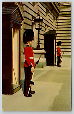 c1960s Irish Guards Sentry Duty Buckingham Palace London Vintage Postcard picture